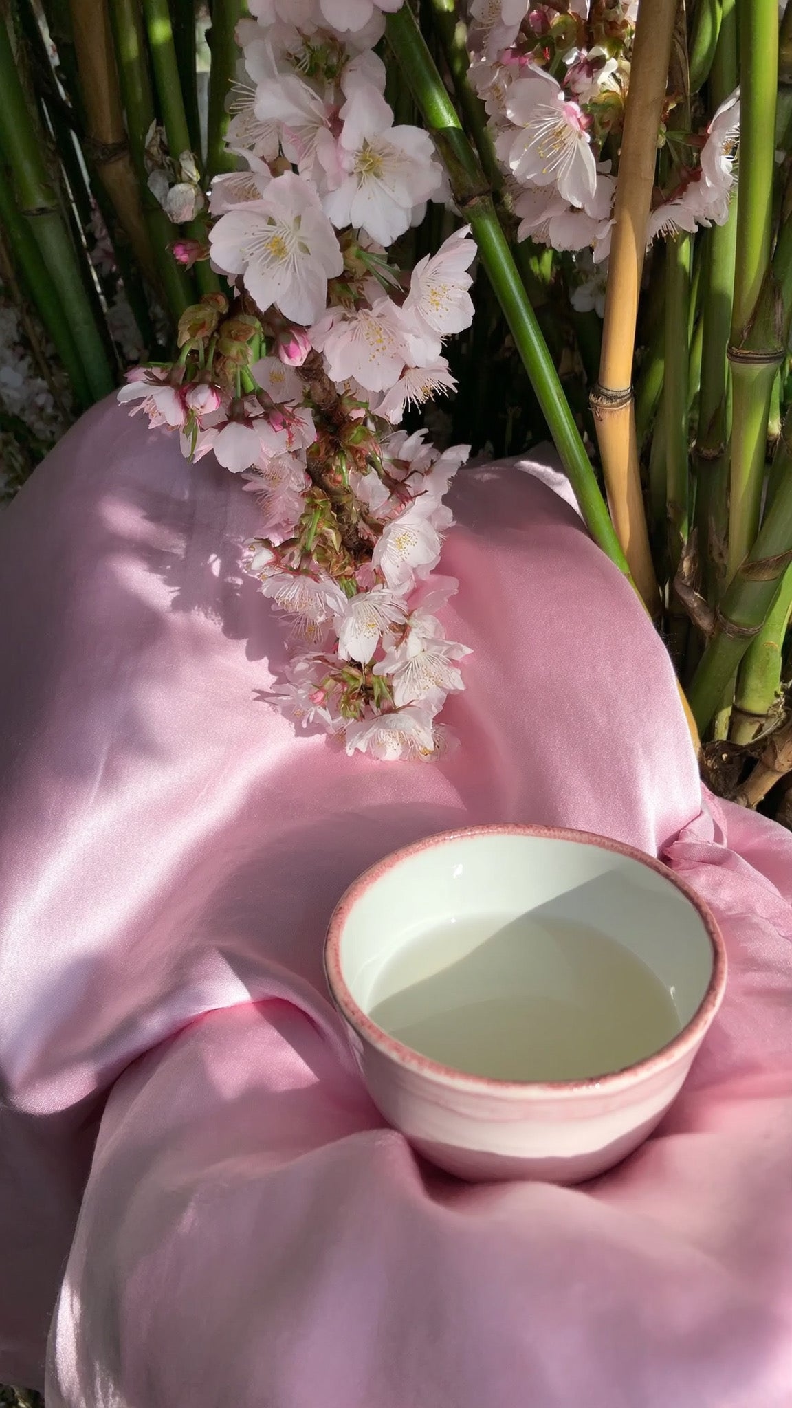 Bamboo & White Tea